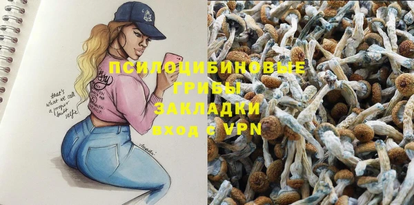 МДПВ Абдулино