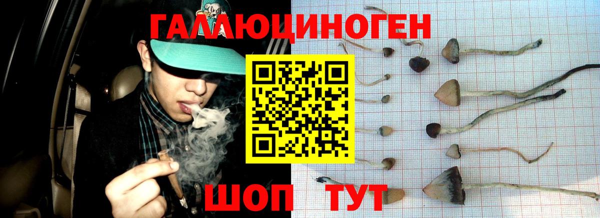 Галлюциногенные грибы Magic Shrooms  Псилоцибиновые грибы Psilocybine cubensis  Вход с VPN  где продают   Черкесск 